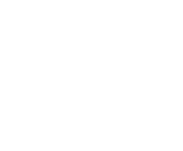 Evolution games at Wolf Bet Casino